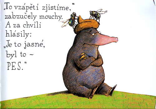 O krtkovi, který chtĕl vĕdĕt, kdo se mu vykakal na hlavu - krotik_17.jpg