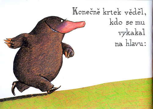 O krtkovi, který chtĕl vĕdĕt, kdo se mu vykakal na hlavu - krotik_18.jpg