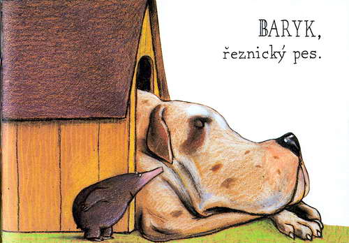 O krtkovi, který chtĕl vĕdĕt, kdo se mu vykakal na hlavu - krotik_19.jpg