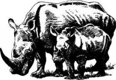 Там, где бродили львы (с иллюстрациями) - pic15.jpg