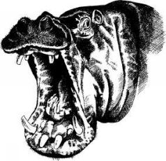 Там, где бродили львы (с иллюстрациями) - pic65.jpg