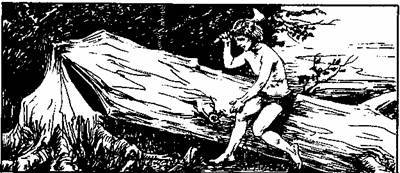 Норне-Гест - any2fbimgloader0.jpeg