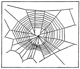 Первопоселенцы суши - i_013.png