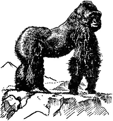 Причуды природы - i_057.png