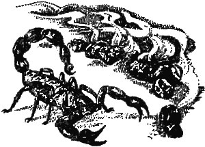 Причуды природы - i_078.png