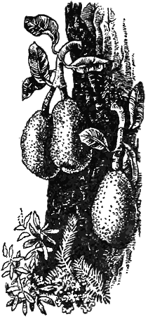 Причуды природы - i_110.png