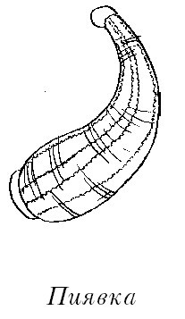 Очищение организма - i_001.jpg