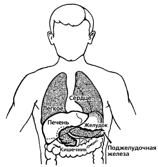 Большая энциклопедия диабетика - i_002.png