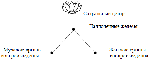 КОМПИЛЯЦИЯ О СЕКСЕ - img_2.png