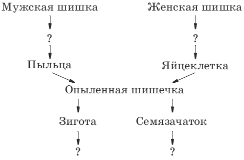 Тесты по биологии. 6 класс - i_004.png