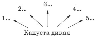 Тесты по биологии. 6 класс - i_005.png