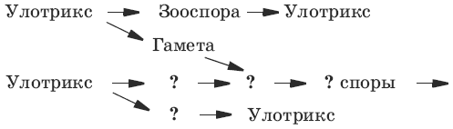 Тесты по биологии. 6 класс - i_006.png