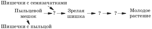 Тесты по биологии. 6 класс - i_009.png