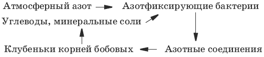 Тесты по биологии. 6 класс - i_043.png