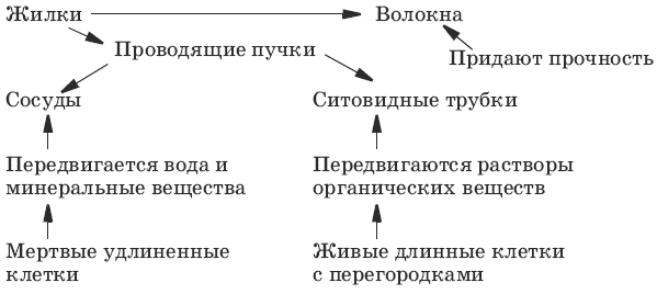 Тесты по биологии. 6 класс - i_047.png