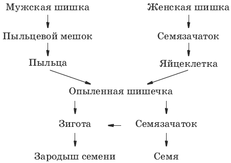 Тесты по биологии. 6 класс - i_050.png