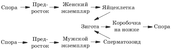 Тесты по биологии. 6 класс - i_053.png