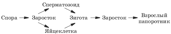 Тесты по биологии. 6 класс - i_054.png