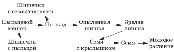 Тесты по биологии. 6 класс - i_055.png