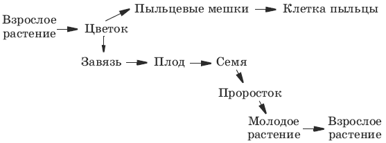 Тесты по биологии. 6 класс - i_056.png