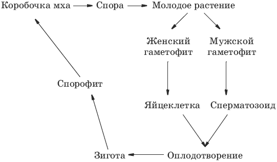 Тесты по биологии. 7 класс - i_040.png