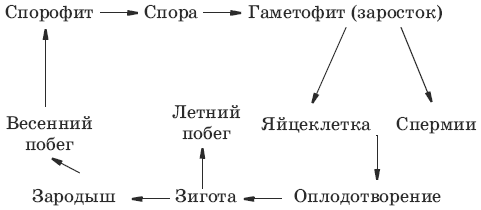 Тесты по биологии. 7 класс - i_041.png