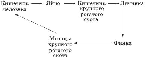 Тесты по биологии. 7 класс - i_046.png