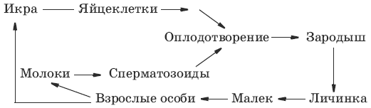 Тесты по биологии. 7 класс - i_050.png