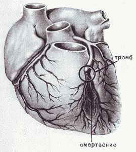 Хочу быть хирургом - i_020.jpg