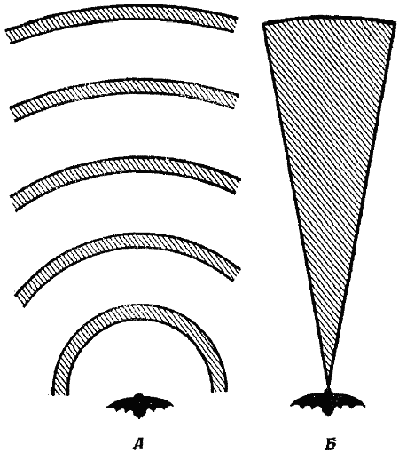 Чувства животных - i_014.png