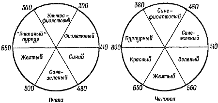 Чувства животных - i_023.png