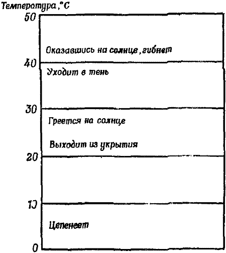 Чувства животных - i_033.png