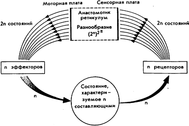 Мозг Фирмы - sb9.png