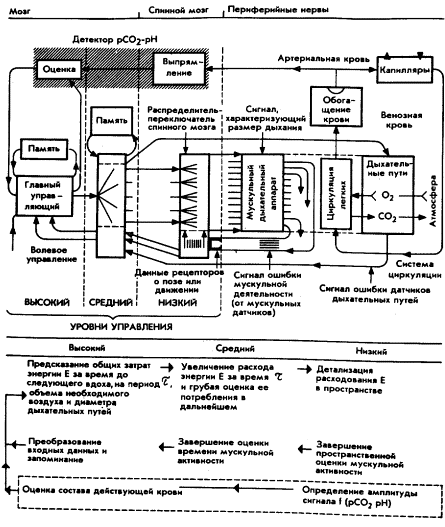 Мозг Фирмы - sb19.png