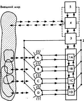 Мозг Фирмы - sb22.png