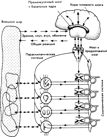 Мозг Фирмы - sb23.png