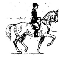 Лошадь в выездке (ЛП) - _04.jpg