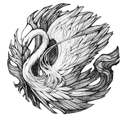 Лесная обитель - i_006.jpg