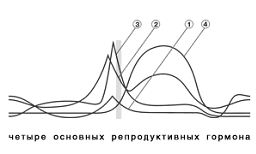 Желанный ребенок - i_008.png