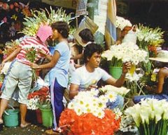 Журнал "Вокруг Света" №7  за 1997 год - _7343.jpg