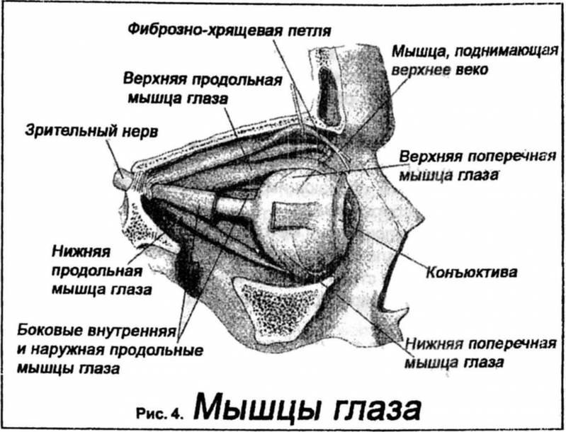 Восстановление зрения - img_5.jpeg