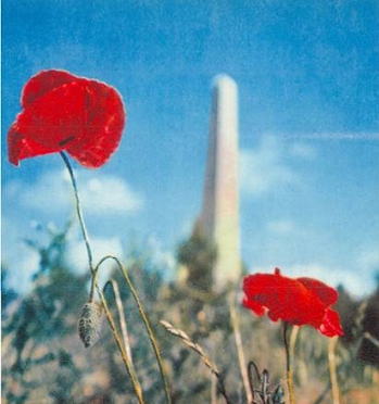 Севастополь - _09.jpg