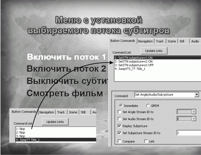 Профессиональный авторинг DVD - i_334.png