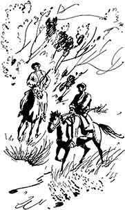 Одинокий всадник - pic_9.jpg