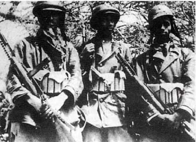 Итальянская армия. 1940–1943. Африканский театр военных действий - i_003.jpg
