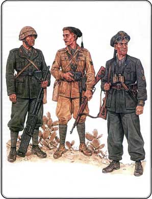 Итальянская армия. 1940–1943. Африканский театр военных действий - i_036.jpg