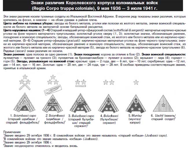 Итальянская армия. 1940–1943. Африканский театр военных действий - i_048.jpg