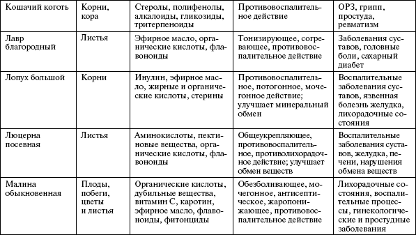 Здоровье опорно-двигательной системы - i_005.png