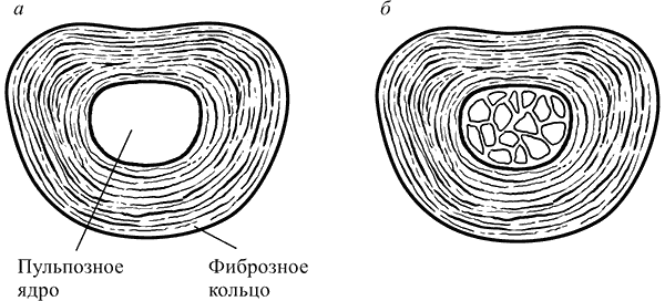 Здоровье вашего позвоночника - i_003.png