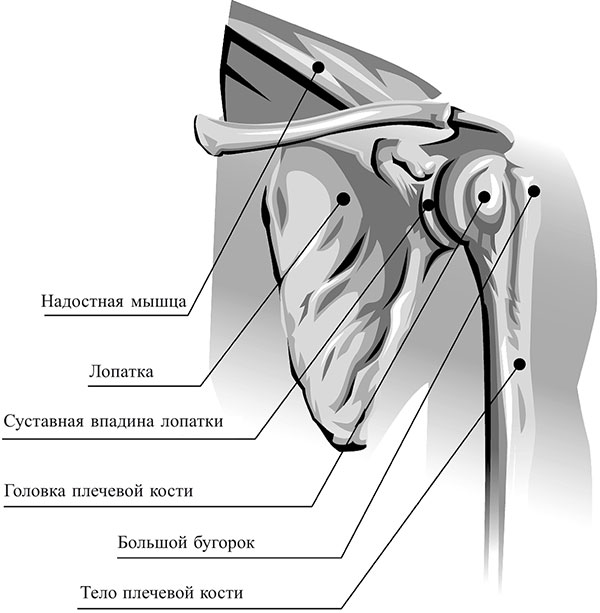 Здоровье вашего позвоночника - i_014.jpg